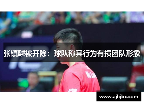 张镇麟被开除：球队称其行为有损团队形象